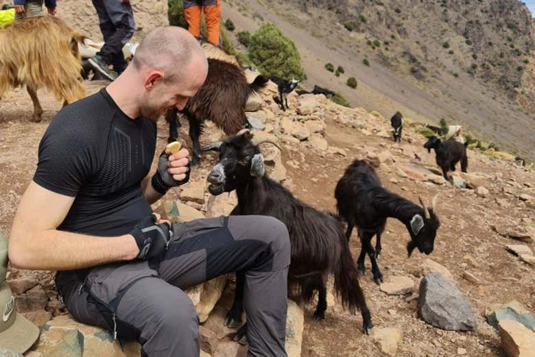 Say hi to the local fauna!