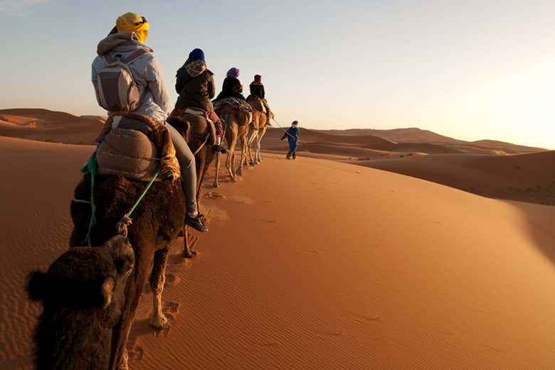 Ride camels through the Merzouga Desert