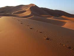 Sahara Desert, Erg Chebbi