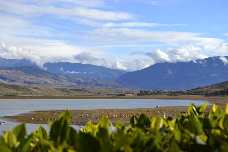 Relax on the lake shore