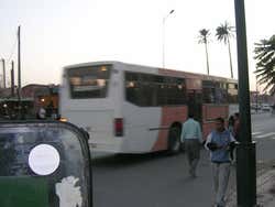 Transport in Marrakech, urban bus